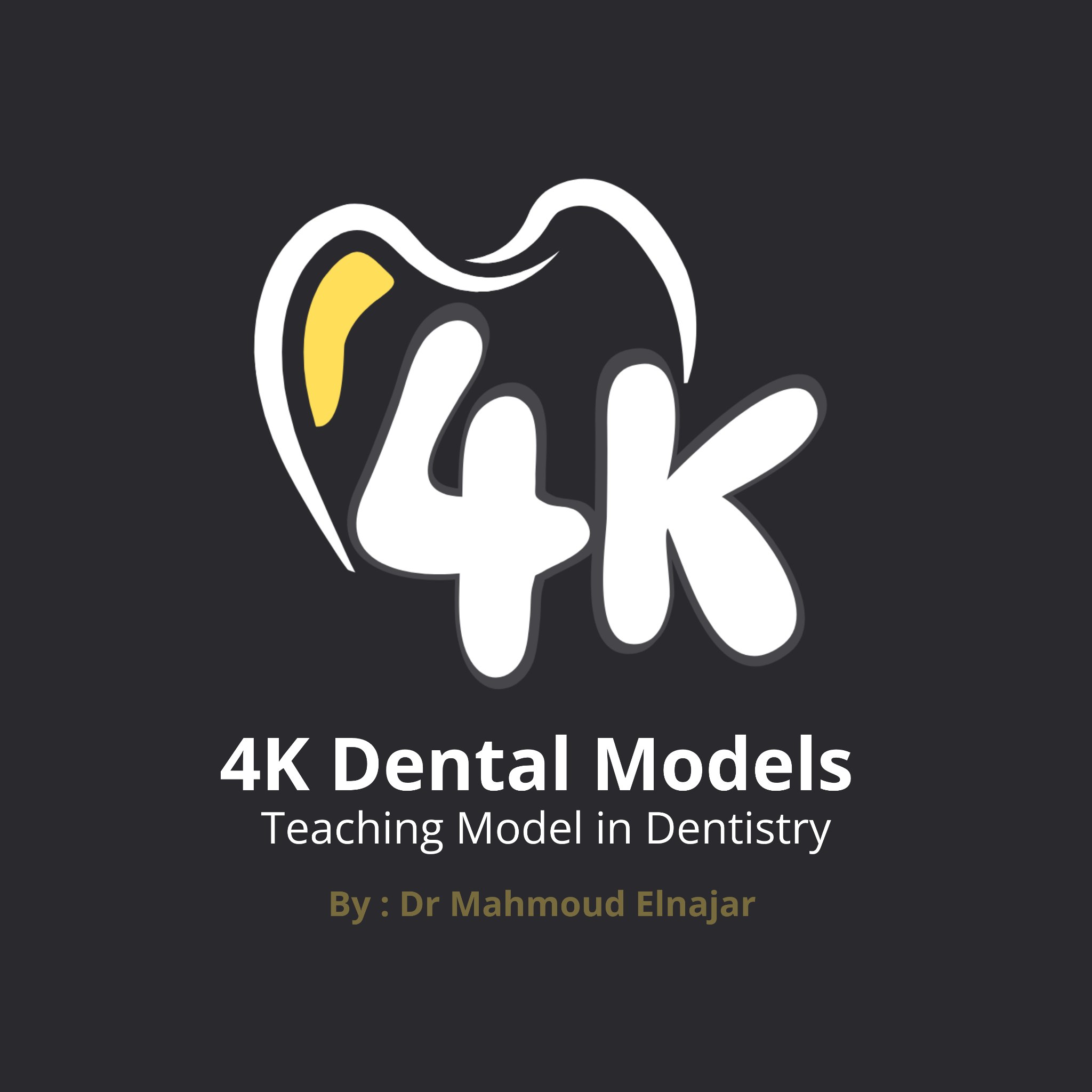 4K Dental training models — precision anatomy