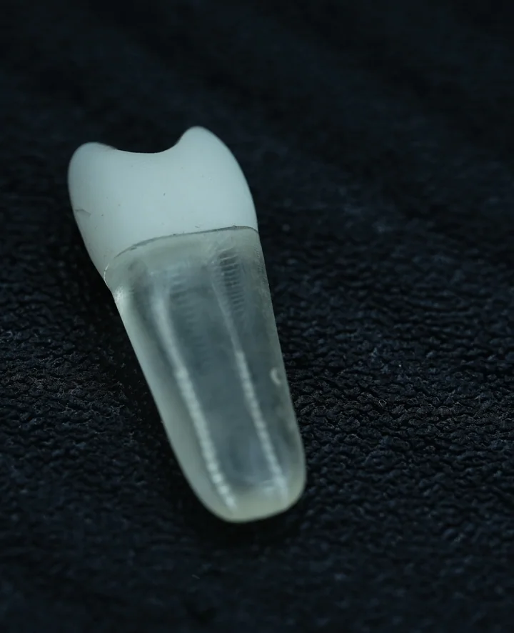 Upper Second Premolar — 4K-BSC-UP