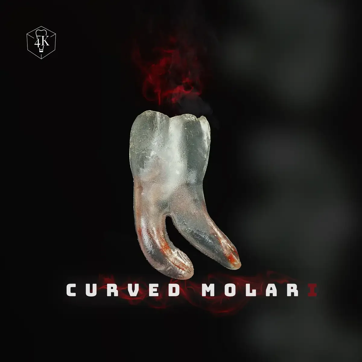 Curved Molar Model — image 1 of 4