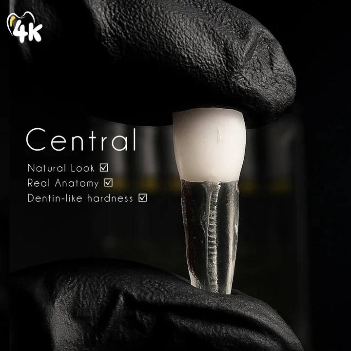 Upper Central Incisor — 4K-BSC-UCI