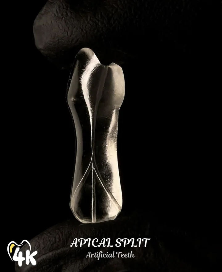 3-Branch Apical Split — 4K-APS-3B